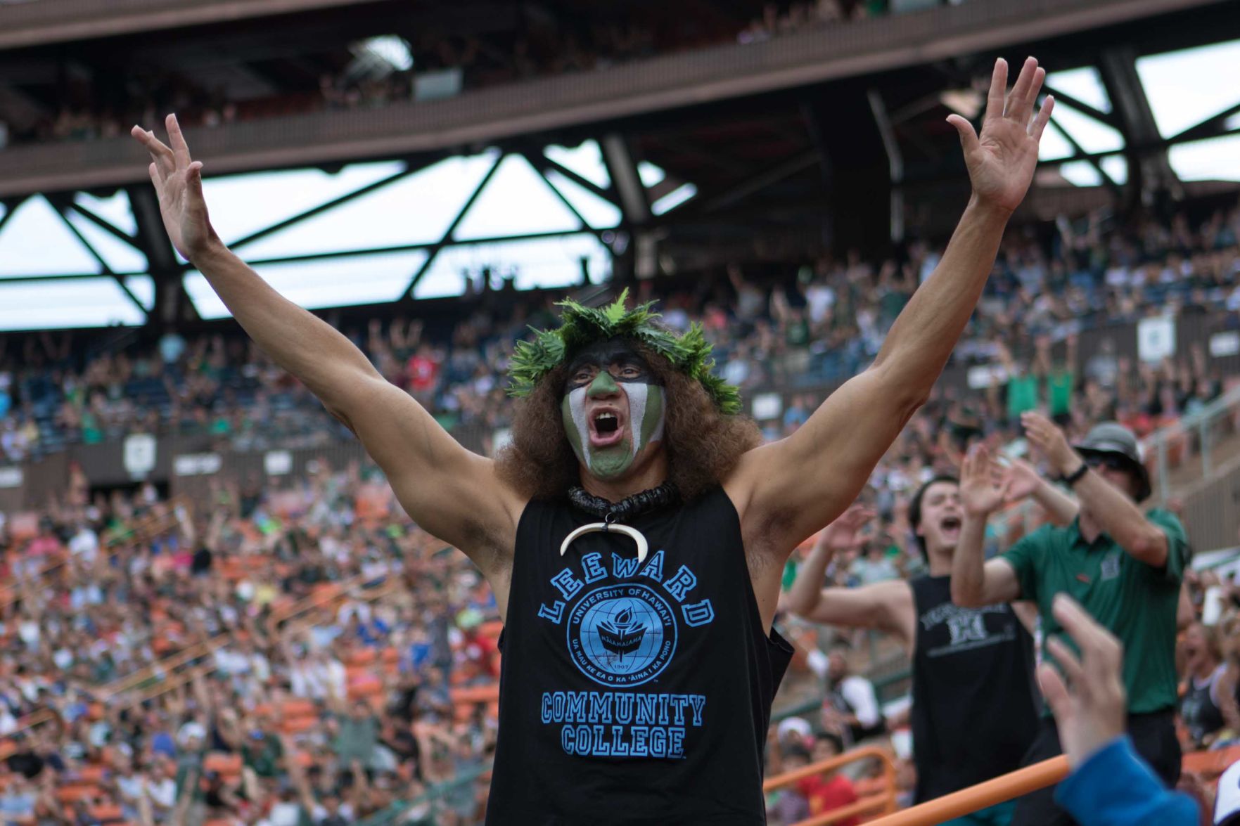 Hawaii fan
